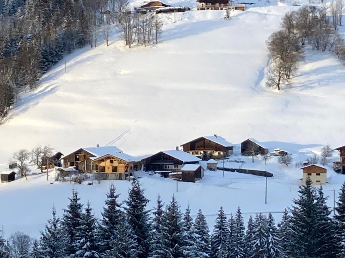 Chalets Savoie Les Chalets D'Heidi Notre-Dame-de-Bellecombe Exterior foto